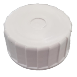 Bore Seal Cap